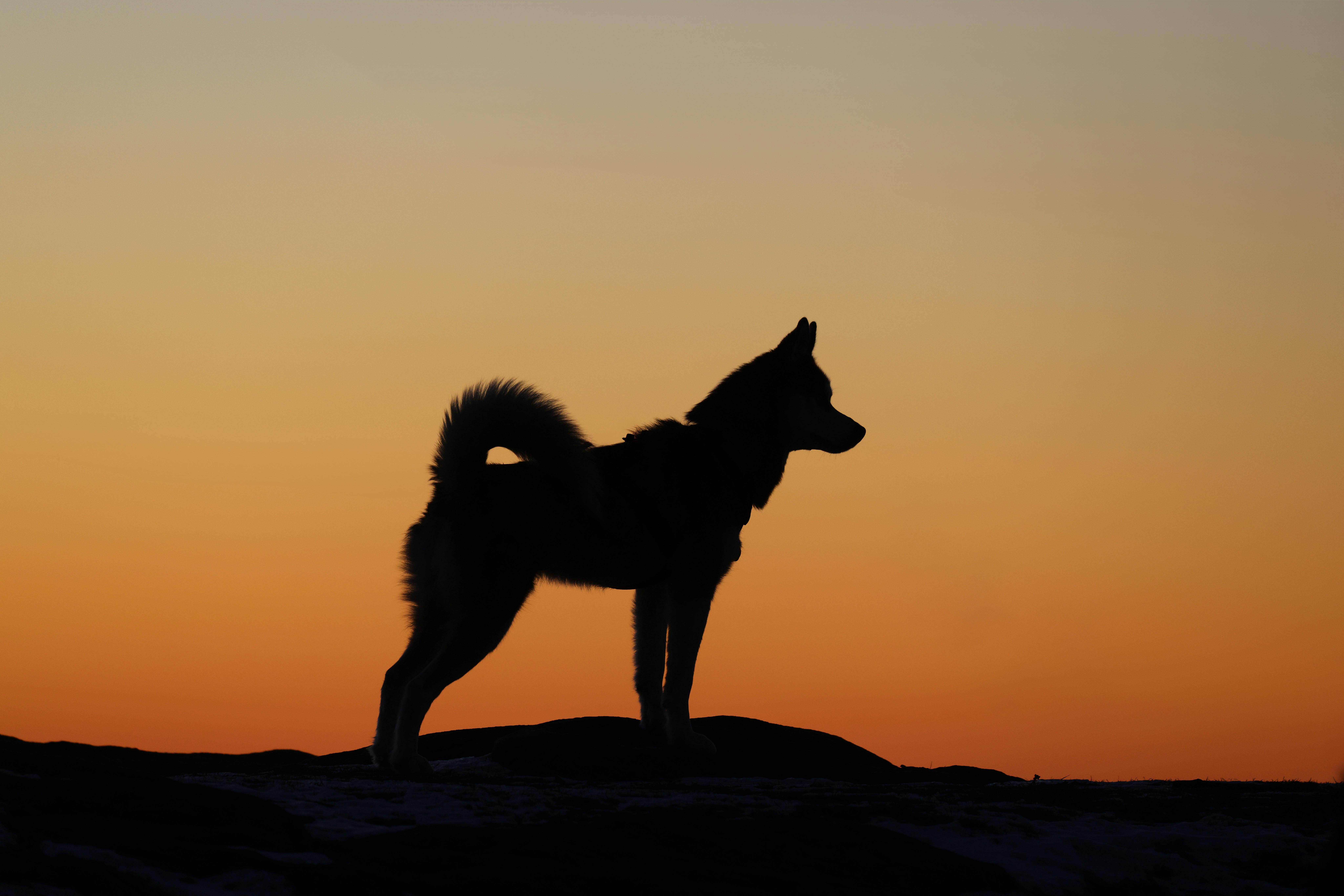 featured-image