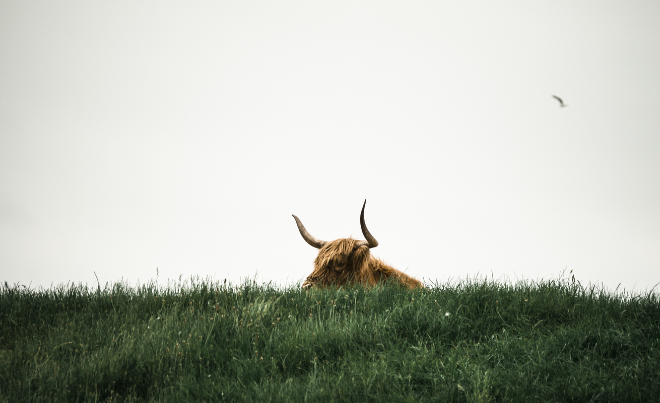 featured-image