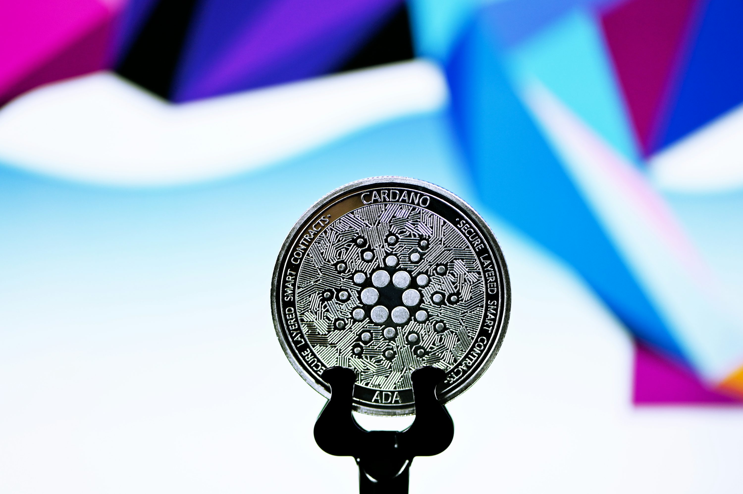 featured-image
