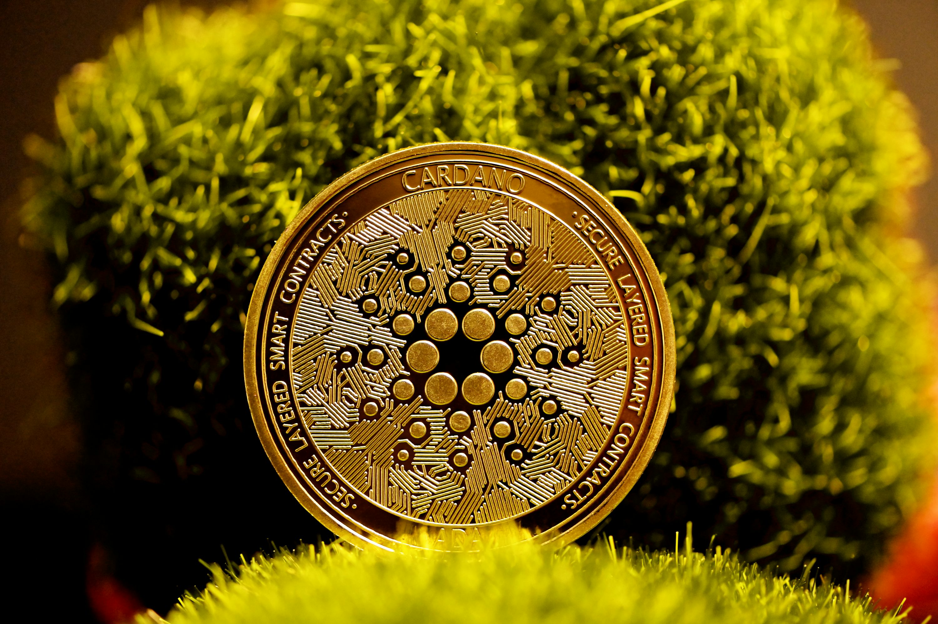 featured-image